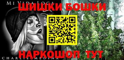 мдпв Пенза
