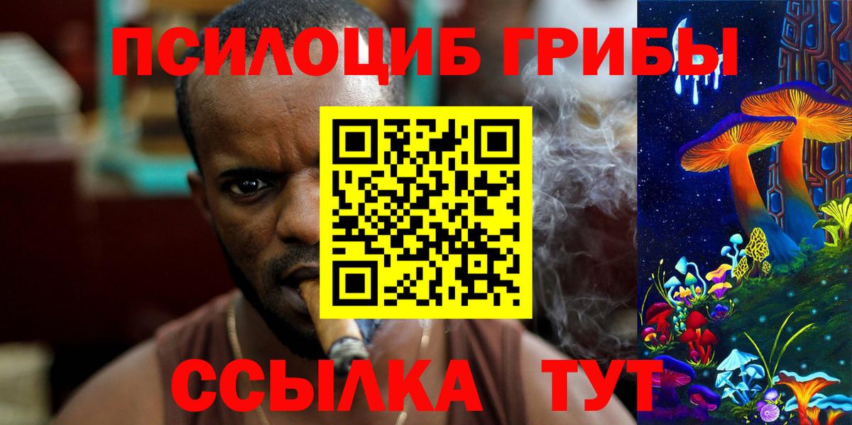 Топки  Псилоцибиновые грибы прущие грибы  дарнет шоп  Вход с VPN 